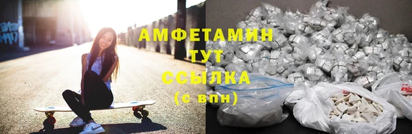 амф Няндома