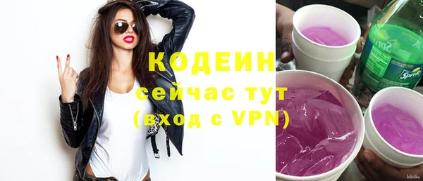 амф Няндома
