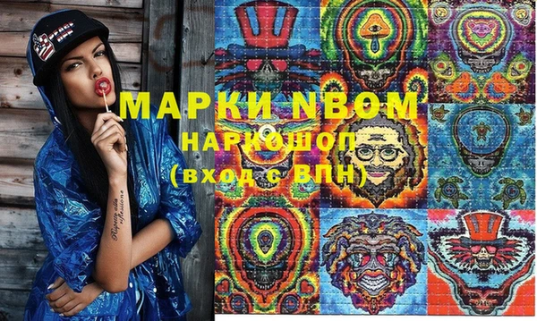 амф Няндома