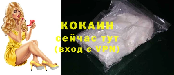 амф Няндома