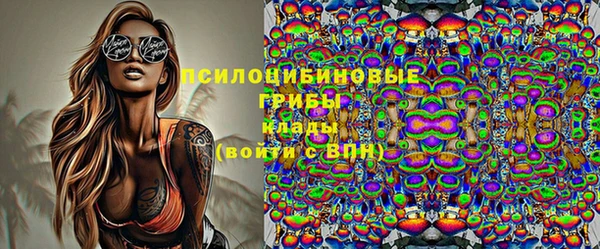 spice Нягань