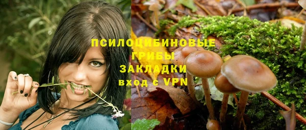 spice Нягань