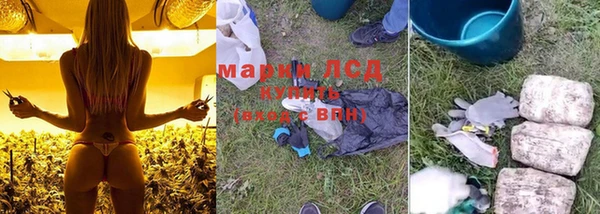 амф Няндома