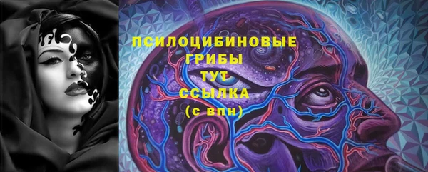 молекула духа Киренск