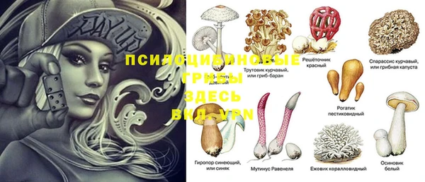 spice Нягань