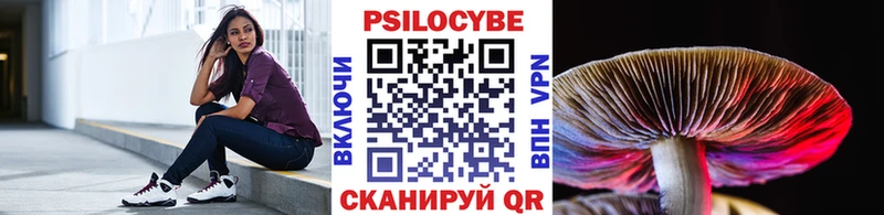 shop телеграм Удачный Галлюциногенные грибы Psilocybine cubensis